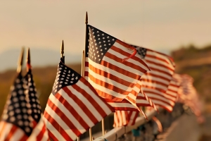 IT精英15天获批I-140！EB-1A杰出人才移民的加速通道